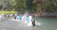 IMG20220726132800_8
