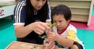 LINE_ALBUM_530香草手作趣-香氛香洗手瓶_260530_61